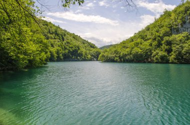 Plitvice Lakes park Pitoresk yaz manzaraları, Hırvatistan