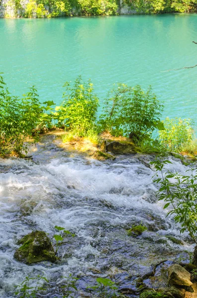 Pittoreska Sommar Landskap Plitvice Lakes Park Kroatien — Stockfoto