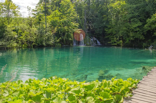 Pintorescos Paisajes Verano Del Parque Los Lagos Plitvice Croacia —  Fotos de Stock