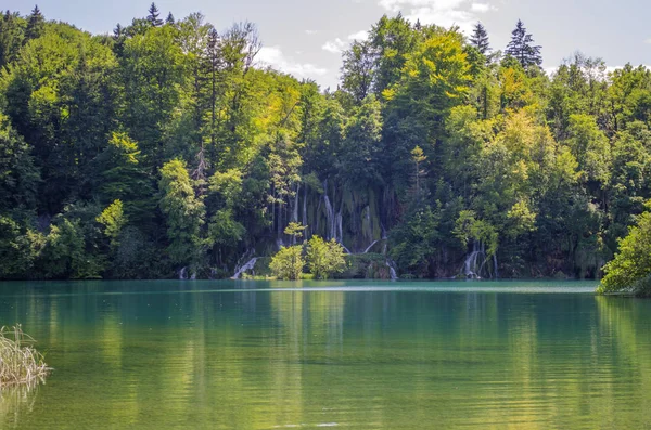 Pittoreska Sommar Landskap Plitvice Lakes Park Kroatien — Stockfoto