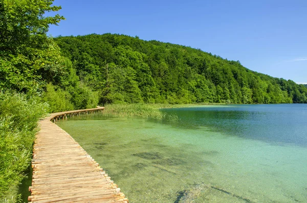 Paisagens Pitorescas Verão Parque Plitvice Lakes Croácia — Fotografia de Stock