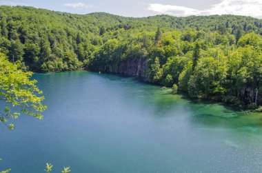 Şelaleleri, dağ nehirleri, ormanları ve dağları olan Plitvice Gölleri manzaraları