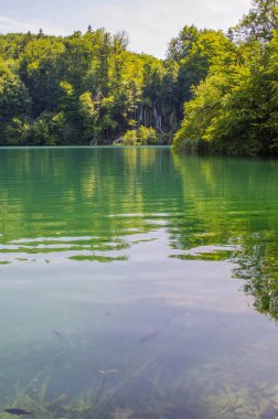 Şelaleleri, dağ nehirleri, ormanları ve dağları olan Plitvice Gölleri manzaraları