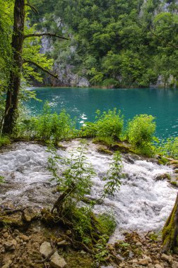 Şelaleleri, dağ nehirleri, ormanları ve dağları olan Plitvice Gölleri manzaraları