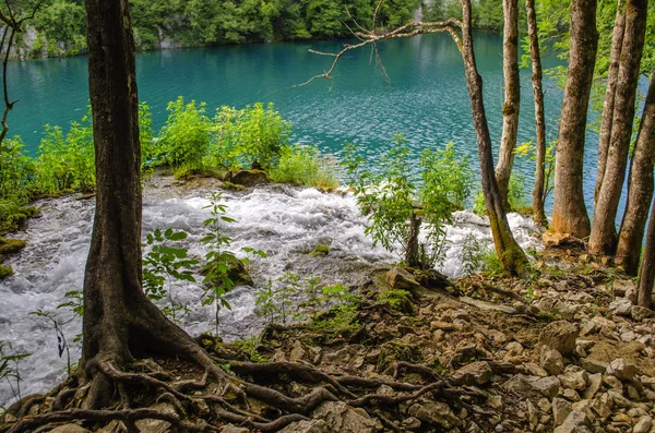 Мальовничі Краєвиди Плітвіцьких Озер Водоспадами Гірськими Річками Лісами Горами — стокове фото