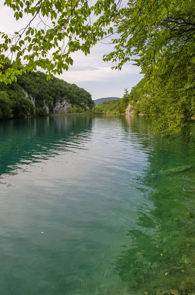 Paysages Pittoresques Des Lacs Plitvice Avec Cascades Rivières Montagne Forêts — Photo