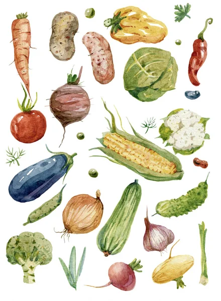 收集各种蔬菜 水彩画 — 图库照片