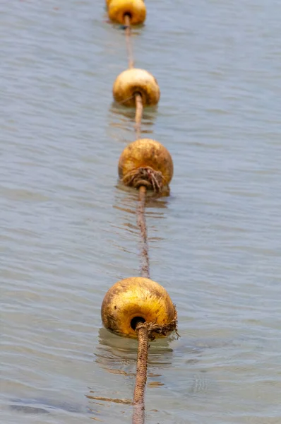 Bouées Envahies Limon Dans Eau Mer — Photo