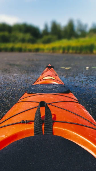 Kayak Rouge Flotte Sur Lac Avec Asclépiade Des Lis — Photo