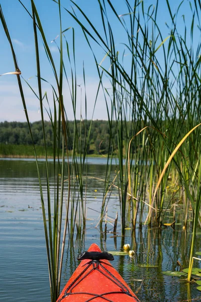 红色的皮划艇在湖面上漂浮 上面撒满了稻草 百合花和高高的青草 — 图库照片
