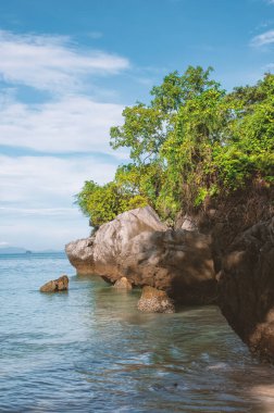 Tayland 'da ağaçlarla kaplı kayalar.