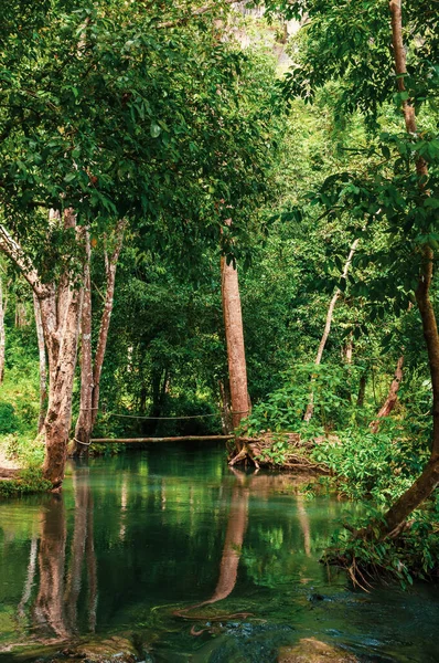 Rio Com Ponte Madeira Floresta Tropical Tailândia — Fotografia de Stock