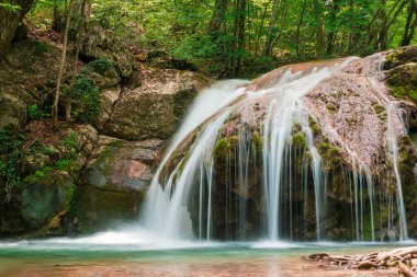 Ormandaki kayalıklardan düşen alçak bir şelale.