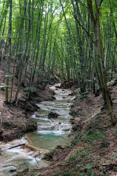 Schnelle Strömung Wald — Stockfoto