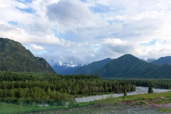 Forest River Background Mountains Clouds Altai Siberia — Stock Photo, Image