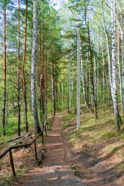 Dik bir iniş ve baharda metal çitli toprak yol.