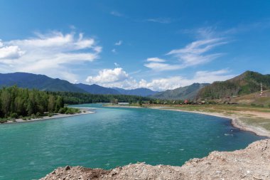 Köylü Katun nehri, arka planda dağlar ve orman, Altai, Sibirya