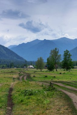 Altai Sibirya 'daki bir dağ köyünde toprak yol.