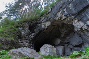 Çam ormanıyla kaplı bir kayanın içindeki mağara.