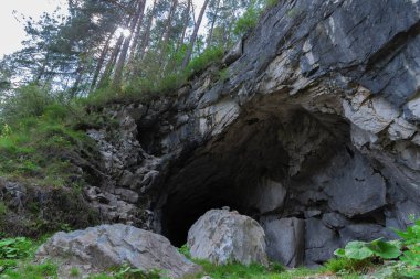 A cave in the rock overgrown with a pine forest clipart