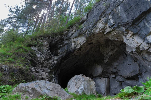 Çam Ormanıyla Kaplı Bir Kayanın Içindeki Mağara — Stok fotoğraf