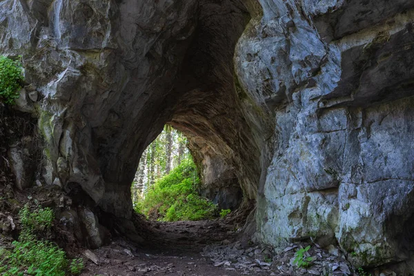 白樺林への岩のトンネル — ストック写真