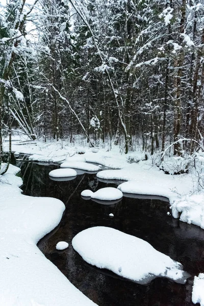 雪に覆われた森の中を小川が流れている — ストック写真