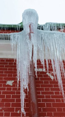 Icicle aşırı büyümüş drenaj borusu ve tuğla boyalı bir duvarda mantar.