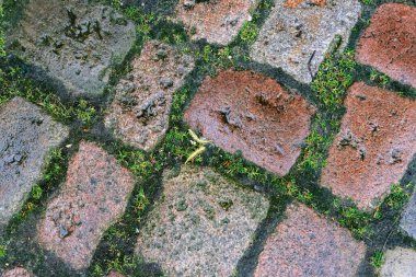 Dikişlerin arasında taze çimen bulunan gri döşemeli soyut bir arka plan.