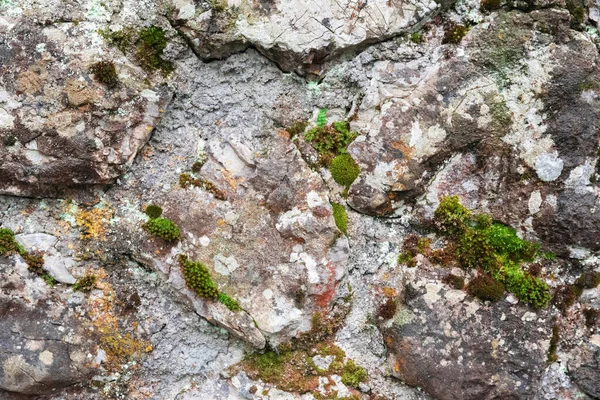 Fundo Abstrato Com Pedra Velha Coberto Com Musgo — Fotografia de Stock