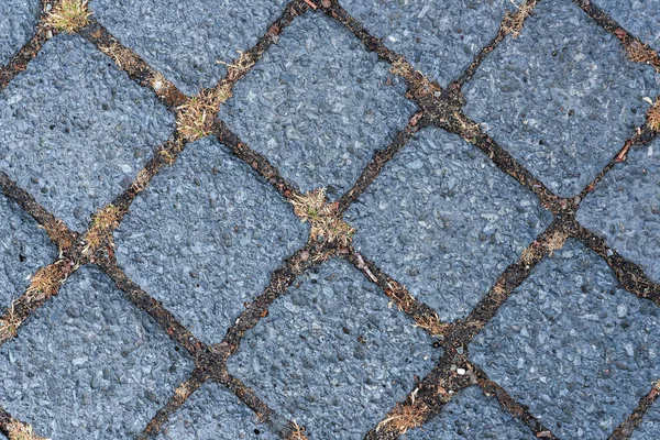 Fundo Abstrato Com Azulejos Cinza Pavimentação Com Grama Jovem Entre — Fotografia de Stock