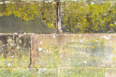 Eski taş bloklardan yosunlarla kaplı soyut doku.