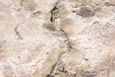 Tuz gölünün kabuğunda çatlak olan soyut doku.