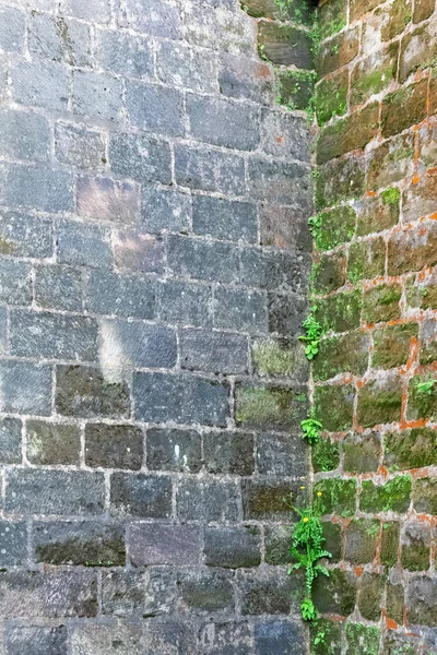 Tekstur Abstrak Dengan Sudut Dinding Batu Tua Ditumbuhi Dengan Lumut — Stok Foto