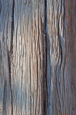 Su ile yumuşatılmış eski ağaçla soyut doku