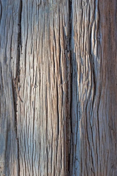 Su ile yumuşatılmış eski ağaçla soyut doku