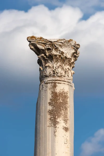 Capital Antique Corinthian Column Destroyed Overgrown Moss Sky — Stock Photo, Image