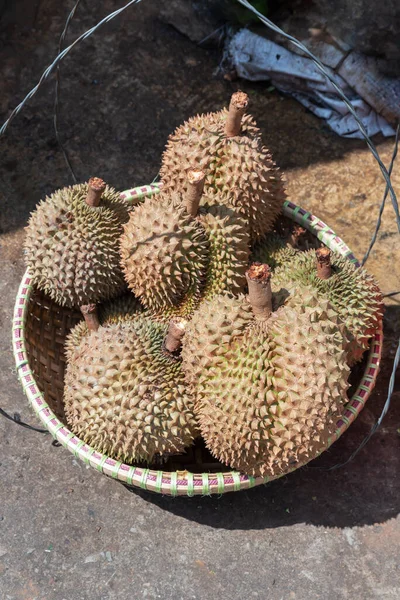 Emmer Rijpe Verse Durians Grond — Stockfoto