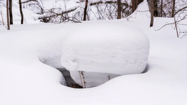 Abstrakter Winterhintergrund Mit Einer Vertiefung Schnee Mit Trockenen Kräutern — Stockfoto