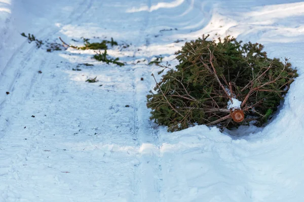 Oude Afgedankte Kerstboom Liggend Een Besneeuwde Weg — Stockfoto