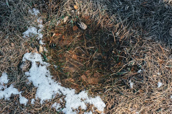 Abstrakter Hintergrund Mit Gefrorener Pfütze Auf Aufgetautem Boden Schmelzendem Schnee — Stockfoto