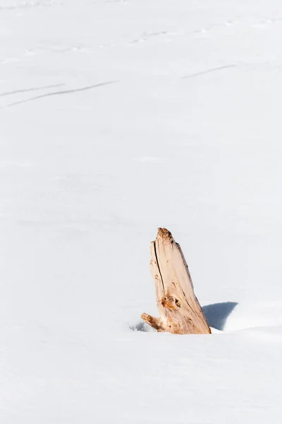 Abstrakter Hintergrund Mit Einem Stück Holz Schnee — Stockfoto