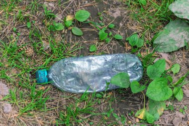 Buruşmuş plastik şişe ormanda yerde yatıyor.