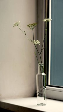 Pencere pervazında cam bir şişede çiçek olan dal.