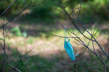 Çalılıklarda asılı duran tıbbi maske.