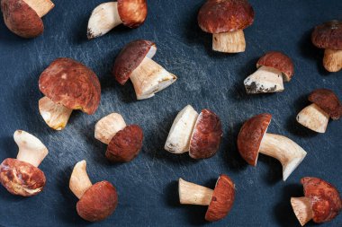 Siyah zemin üzerinde taze Porcini mantarları olan soyut bir arka plan.