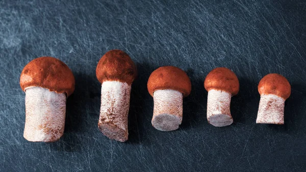 纵横躺着的小蒲公英蘑菇 — 图库照片