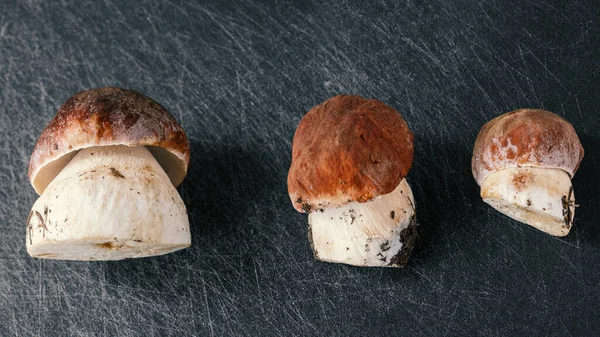 Hosszában Fekve Fiatal Boletus Gomba — Stock Fotó