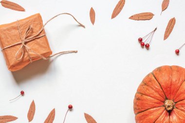 Şenlikli sonbahar kompozisyonu. Sonbahar tatilleri için hediye. Şükran Günü ya da Cadılar Bayramı, turuncu kağıda sarılıp sicimle, balkabağımla sarmalanmış beyaz arka planda sarı kürek yaprağı ve yaban elması. Düz yat, boşluğu kopyala.