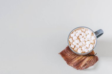 Sonbahar sıcacık hayatı. Beyaz arka planda sonbahar yaprağı olan bir fincan lezzetli sıcak çikolata. Üst görünüm, düz görünüm, kopyalama alanı